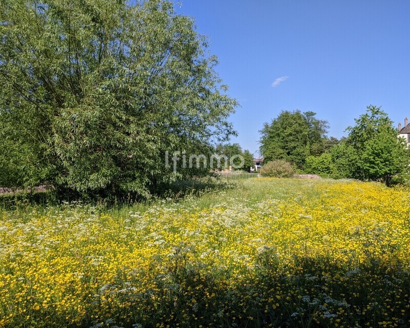 Terrain à bâtir 647 m² Woerth - Pxl 20260509 152251284