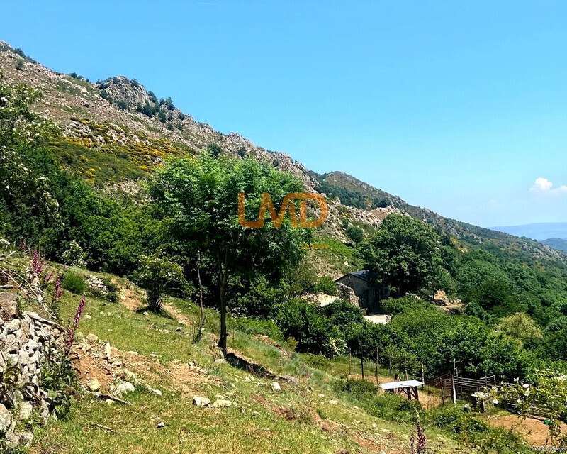 Propriété 54 hectares, rare en Ardèche - Ia generated 1780326324