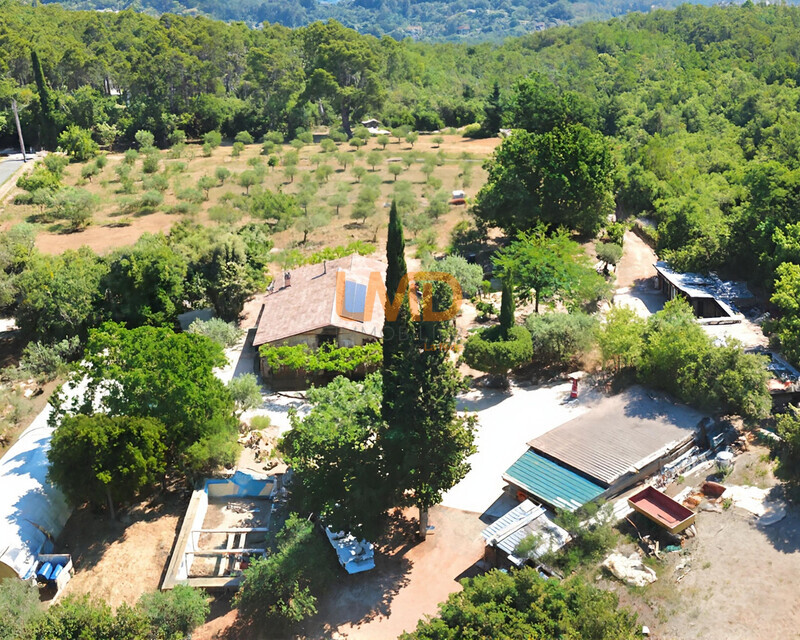 Mas en pierre sur 1,2 hectare – oliveraie, calme  - Dji fly 20260608 104730 292 1780908470104 photo optimized-fotor-20260608153833