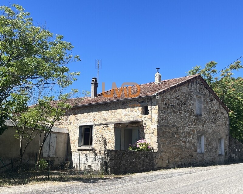 Maison en pierre à rénover avec caves à Mercuer - Img 2772