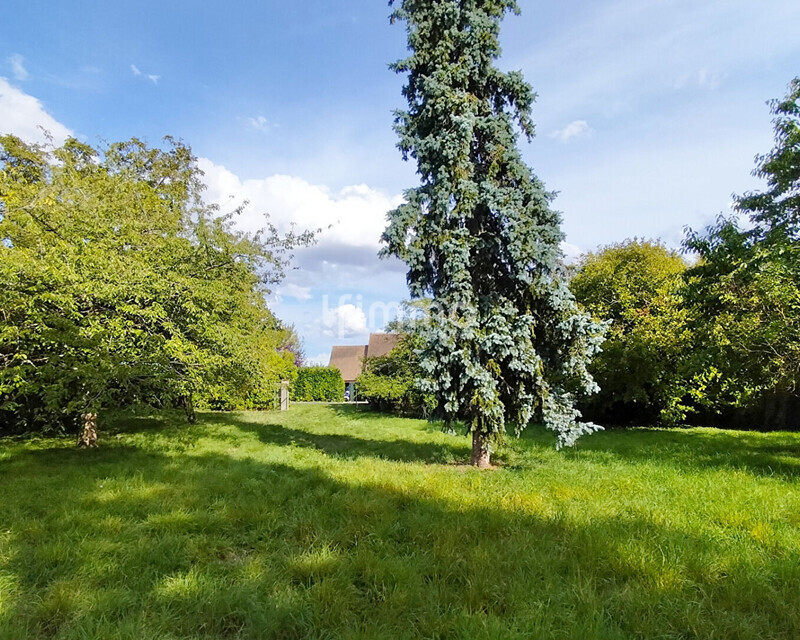 vaste terrain à bâtir à Courcelles Le Roi  - 39314145c