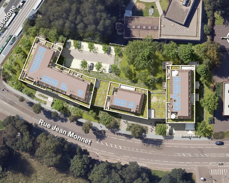 Nouveau 2 pièces avec jardin - Plan masse