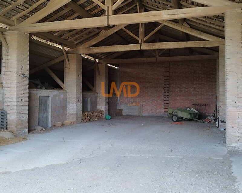 Hangar 285 m2 + Atelier 127 m2 - Img 20260827 144751