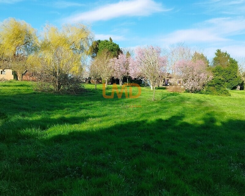 Terrain constructible 5 000 m2 - 79083438-9d97-4788-98f4-bed696d1606d
