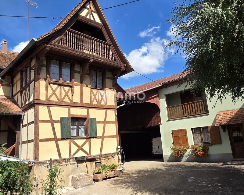 Ensemble immobilier – 2 maisons & 400 m² de stockage - Cour  2 