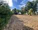 Terrain constructible 3000m² - 33140 Cadaujac - 4638dbf7-8220-4c6b-bbe7-bedadfa09394