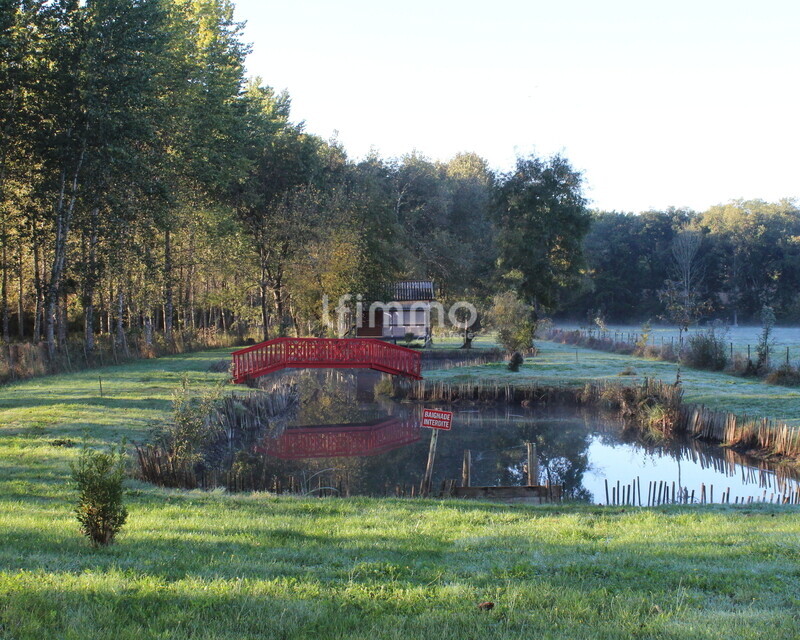 Etang proche de Villebois Lavalette - Img 4373